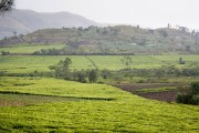 Farm land : 2014 Uganda